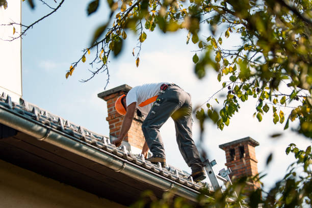 Best Roof Leak Repair  in Spring Green, WI
