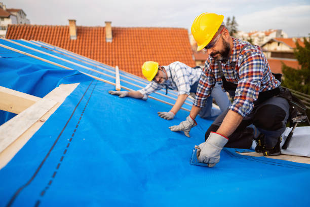 Best Flat Roof Repair Services  in Spring Green, WI
